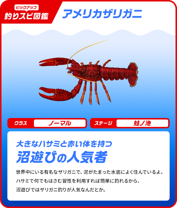 アメリカザリガニ