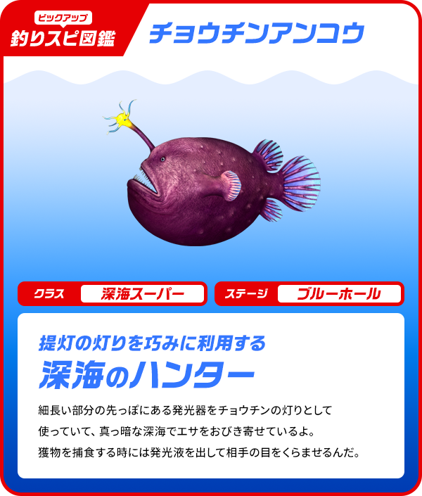 チョウチンアンコウ