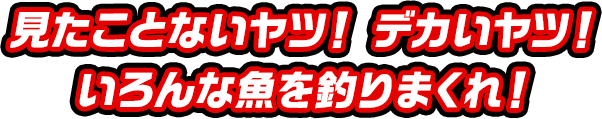 見たことないヤツ！ デカいヤツ！ いろんな魚を釣りまくれ！