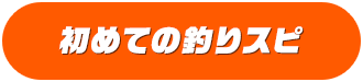 初めての釣りスピ