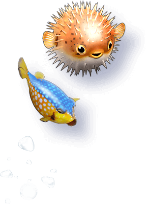 ハリセンボンとハコフグ